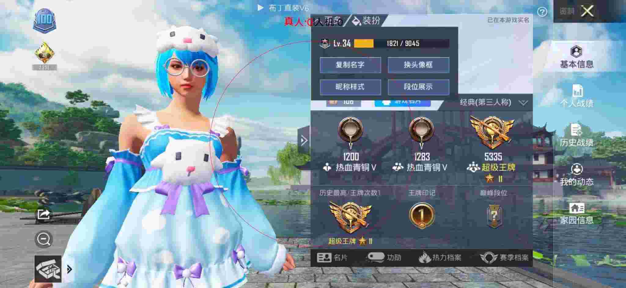 和平精英布丁直装透视 - 发卡网网站辅助预览图